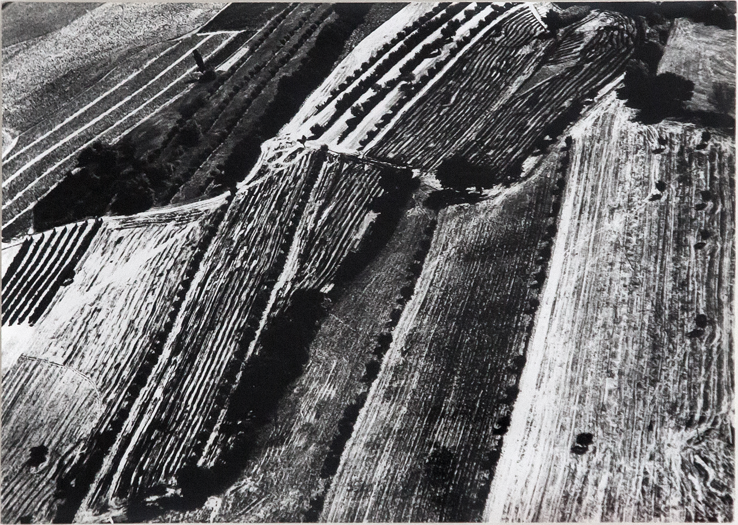 giacomelli-presa-di-coscienza-sulla-natura-mm-280×385-ar
